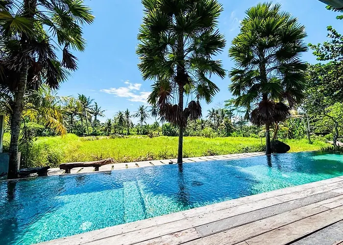 Living Hotel 4*