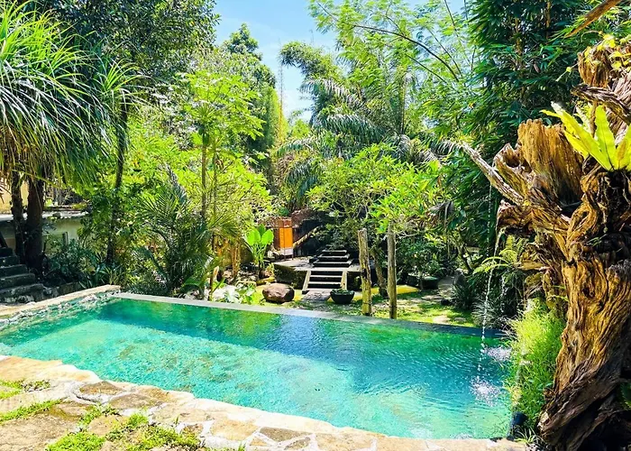 Living Ubud