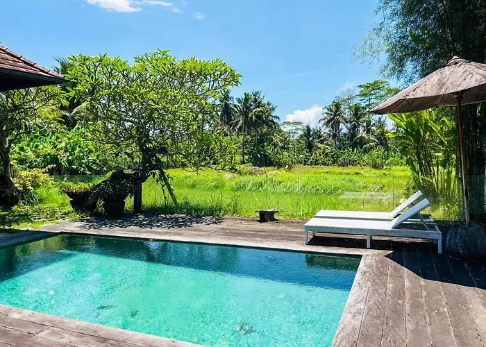 Living Ubud