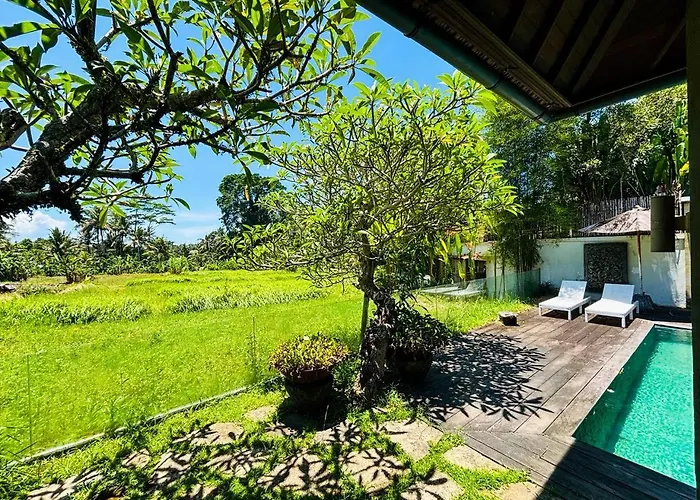 Living Hotel